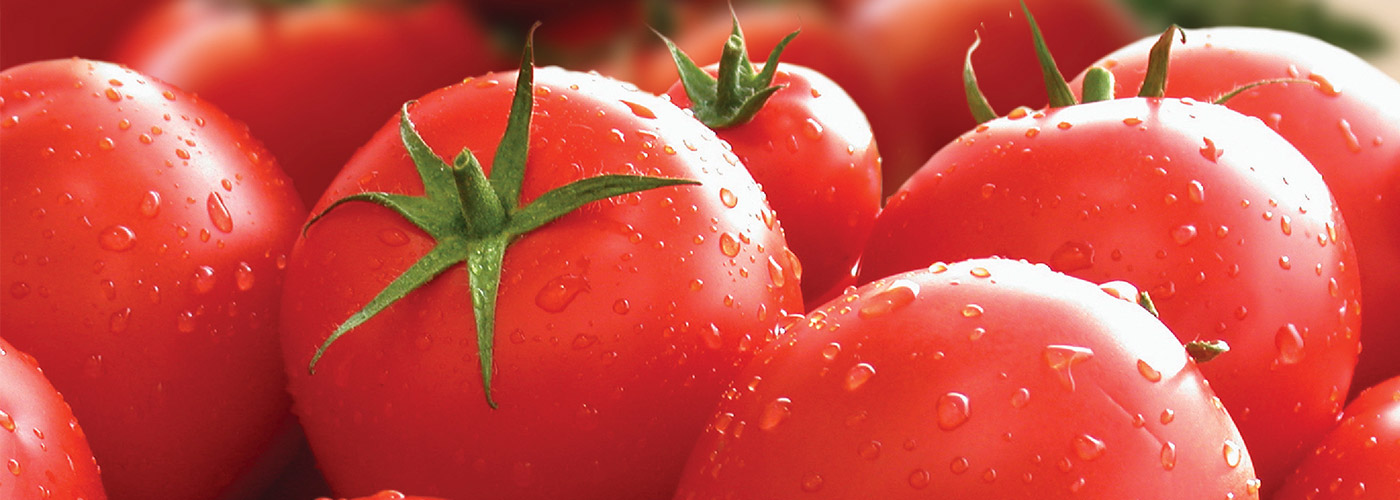 Tomatoes | Organic Canned Tomatoes | Muir Glen